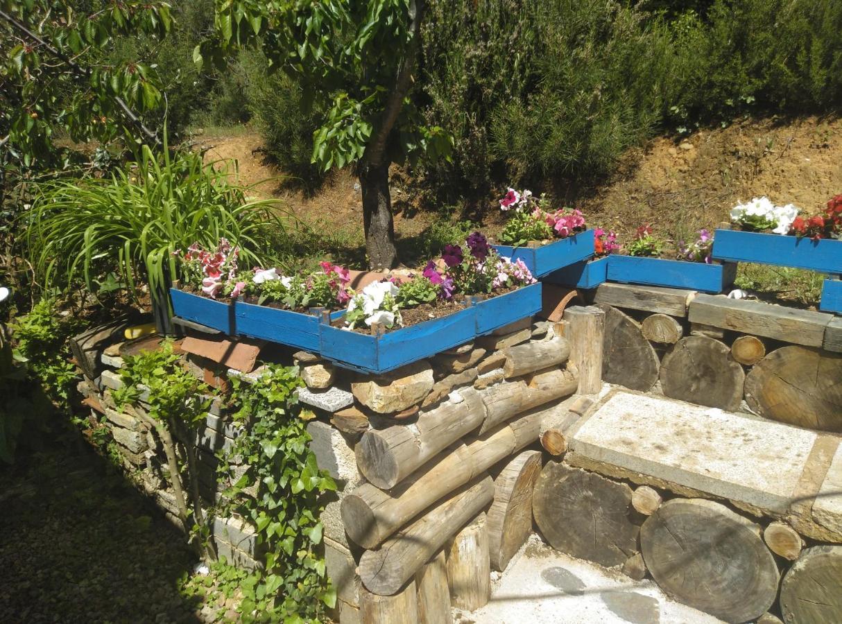Casa Rural El Arroyo Sotoserrano 外观 照片