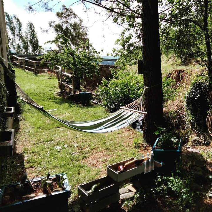 Casa Rural El Arroyo Sotoserrano 外观 照片
