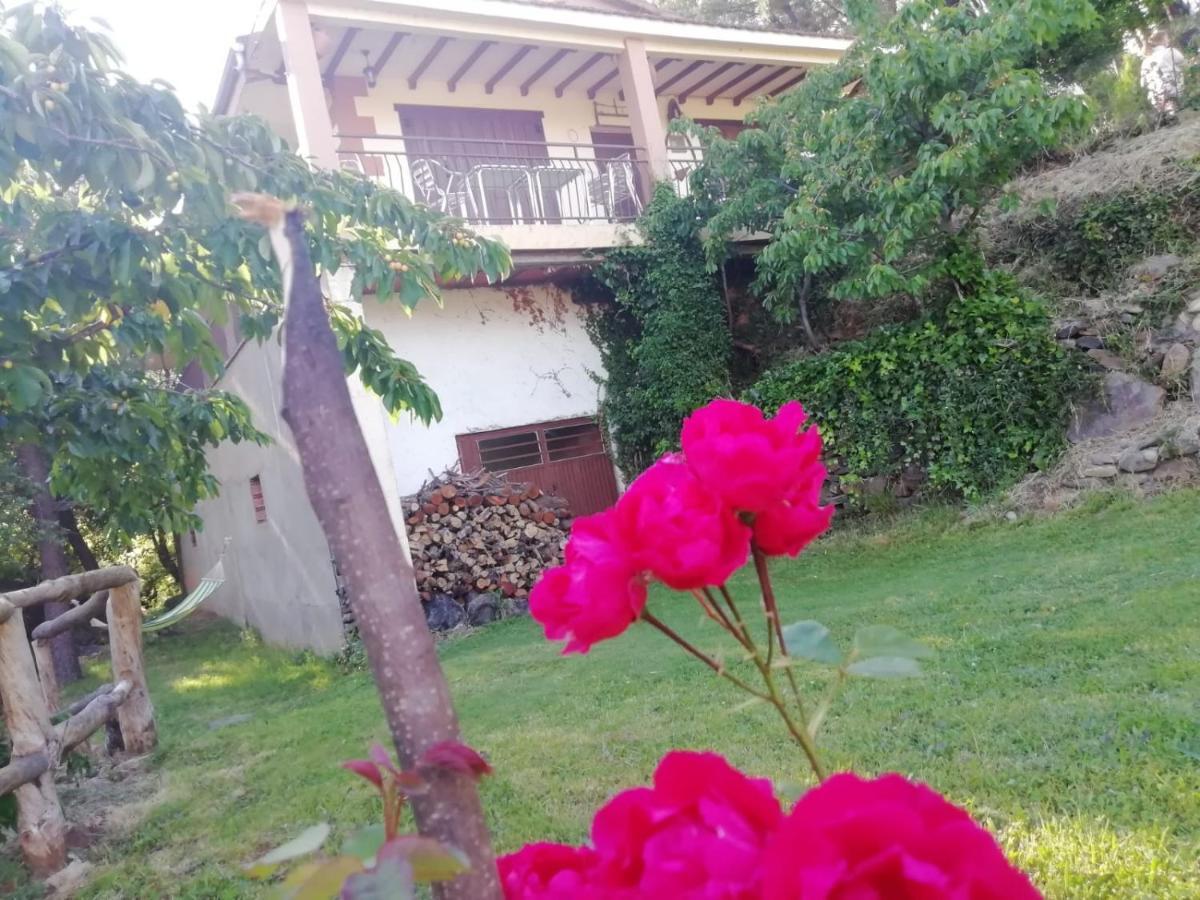 Casa Rural El Arroyo Sotoserrano 外观 照片
